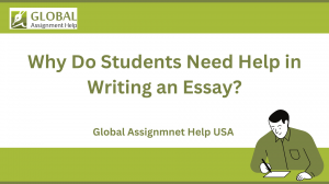 Why Do Students Need Help in Writing an Essay? Find Out in 5 Points!